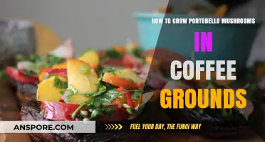 Growing Portobello Mushrooms: A Coffee Grounds Cultivation Guide