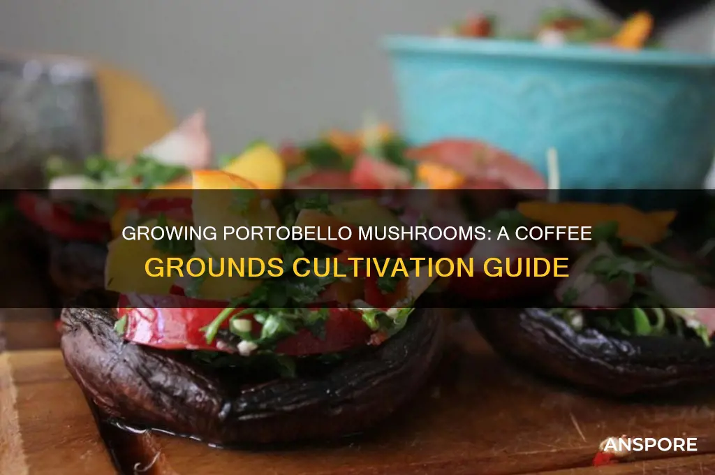 how to grow portobello mushrooms in coffee grounds
