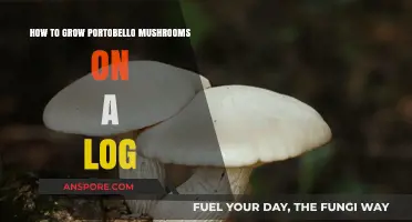 Growing Portobello Mushrooms on Logs: A Step-by-Step Guide