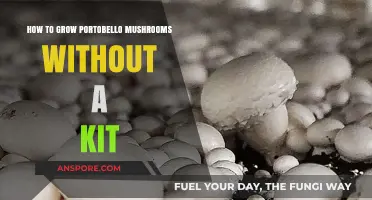 Growing Portobello Mushrooms at Home: A Kit-Free Guide