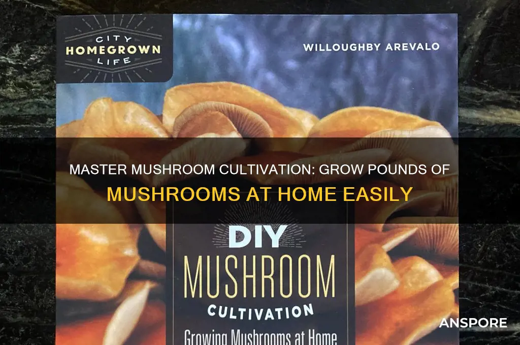 how to grow pounds of mushrooms