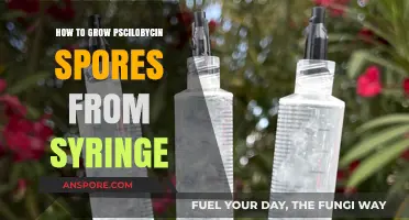 Mastering Psilocybin Spores: A Step-by-Step Syringe Cultivation Guide