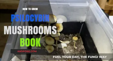 Cultivating Psilocybin Mushrooms: A Comprehensive Guidebook for Beginners