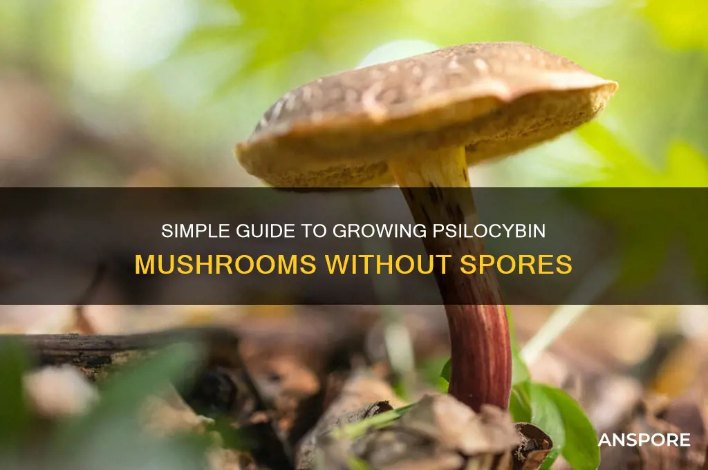 how to grow psilocybin mushrooms easily without spores