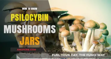 Mastering Psilocybin Mushroom Cultivation: A Step-by-Step Jar Growing Guide