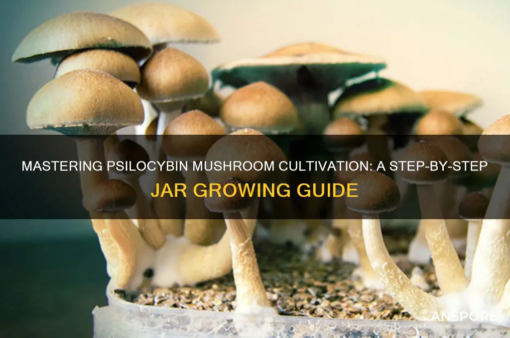 how to grow psilocybin mushrooms jars