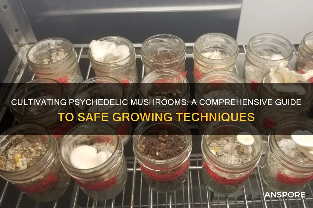 how to grow psychadelic mushrooms