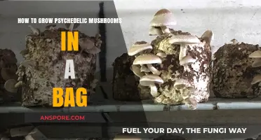 Growing Psychedelic Mushrooms in a Bag: A Step-by-Step Guide