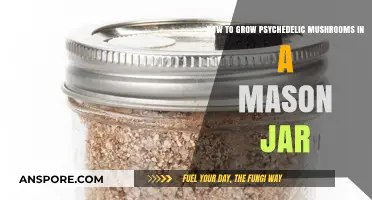 Mason Jar Magic: Growing Psychedelic Mushrooms at Home