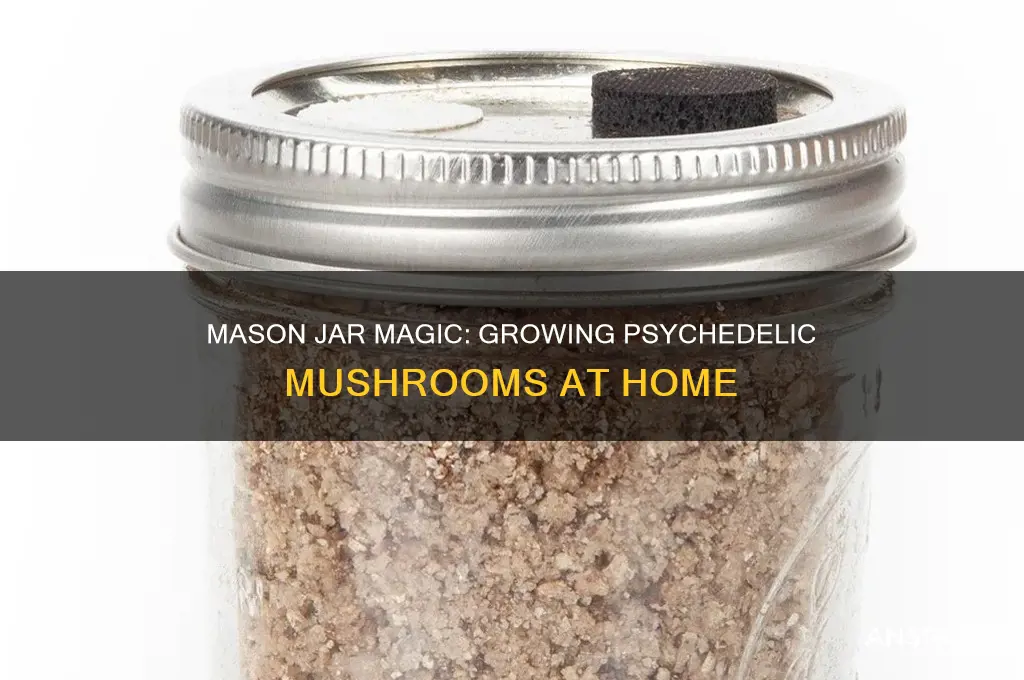 how to grow psychedelic mushrooms in a mason jar