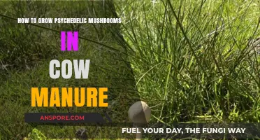 Cultivating Psychedelic Mushrooms: A Guide to Using Cow Manure