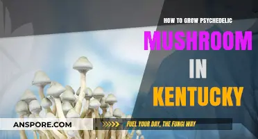 Cultivating Psychedelic Mushrooms in Kentucky: A Comprehensive Growing Guide