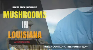 Cultivating Psychedelic Mushrooms in Louisiana: A Comprehensive Growing Guide