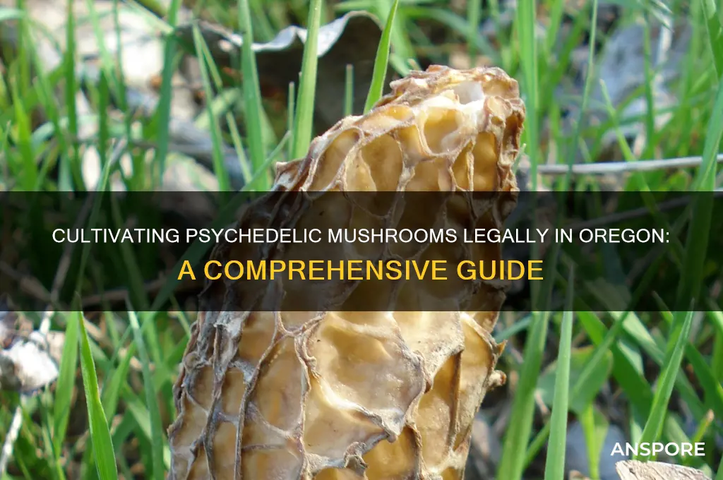 how to grow psychedelic mushrooms in oregon