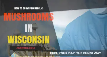 Cultivating Psychedelic Mushrooms in Wisconsin: A Comprehensive Guide