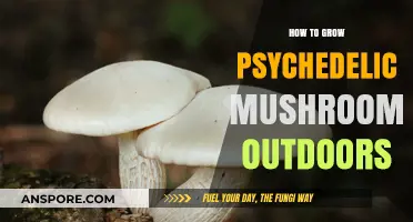 Cultivating Psychedelic Mushrooms: A Comprehensive Outdoor Growing Guide