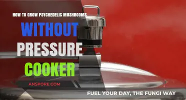 Easy Psychedelic Mushroom Cultivation: No Pressure Cooker Required