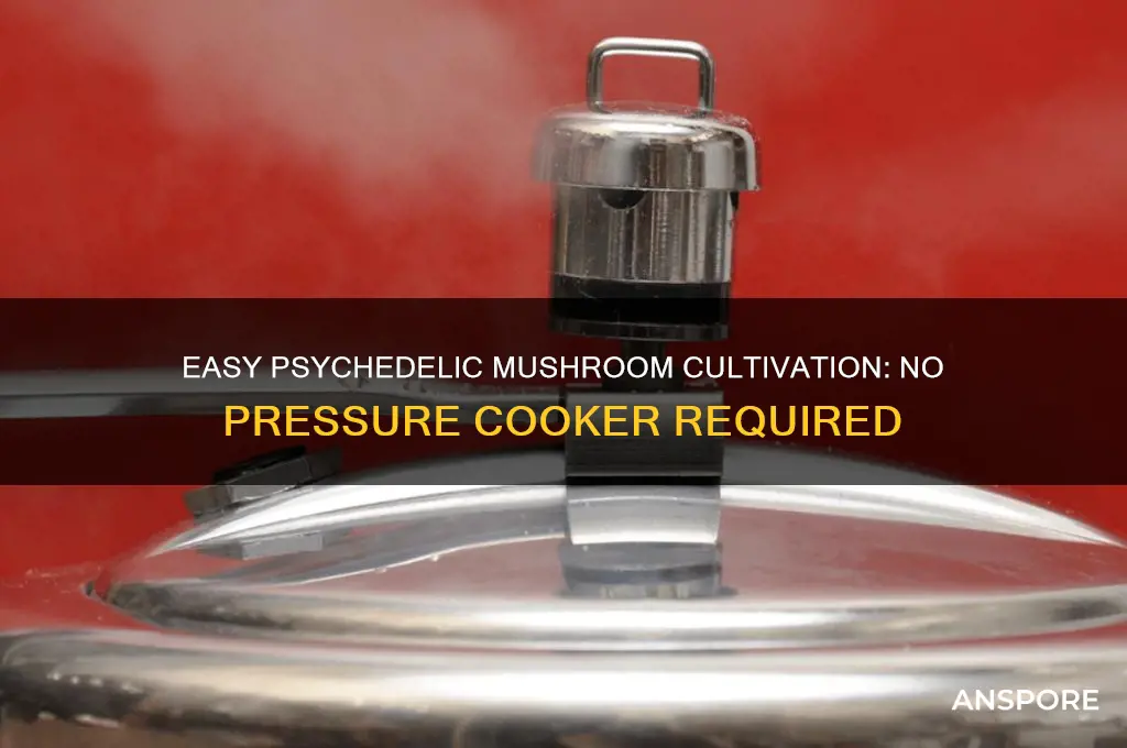 how to grow psychedelic mushrooms without pressure cooker