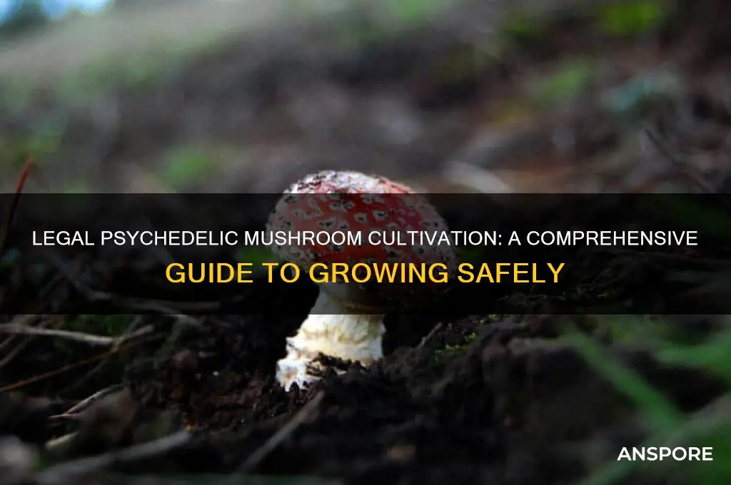 how to grow psyodelic mushrooms legaly