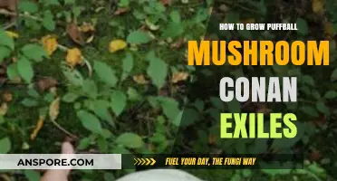 Mastering Puffball Mushroom Cultivation in Conan Exiles: A Step-by-Step Guide