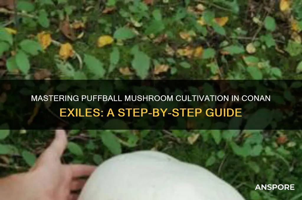 how to grow puffball mushrooms conan exiles