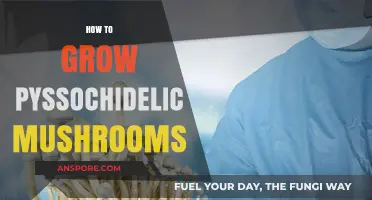 Cultivating Psychedelic Mushrooms: A Comprehensive Guide to Safe Growth Techniques