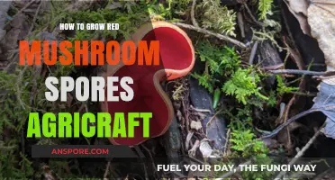 Mastering Red Mushroom Spore Cultivation with Agricraft: A Step-by-Step Guide