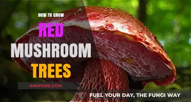 Cultivating Vibrant Red Mushroom Trees: A Comprehensive Growing Guide