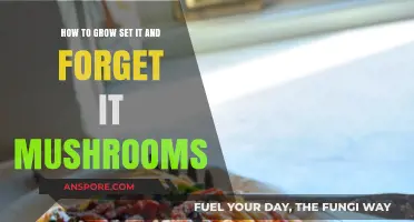 Effortless Mushroom Cultivation: Master the Art of Set-It-and-Forget-It Growing