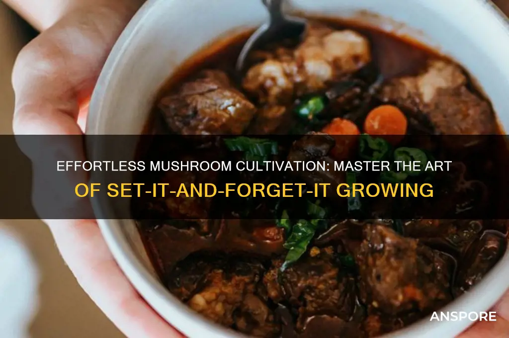 how to grow set it and forget it mushrooms