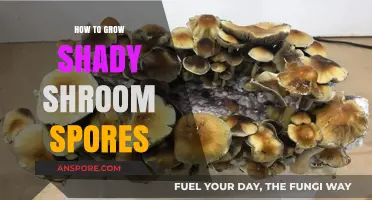 Mastering the Art of Growing Shady Shroom Spores Successfully