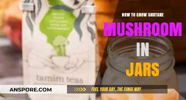 Master Shiitake Mushroom Growing in Jars: Simple Steps for Success