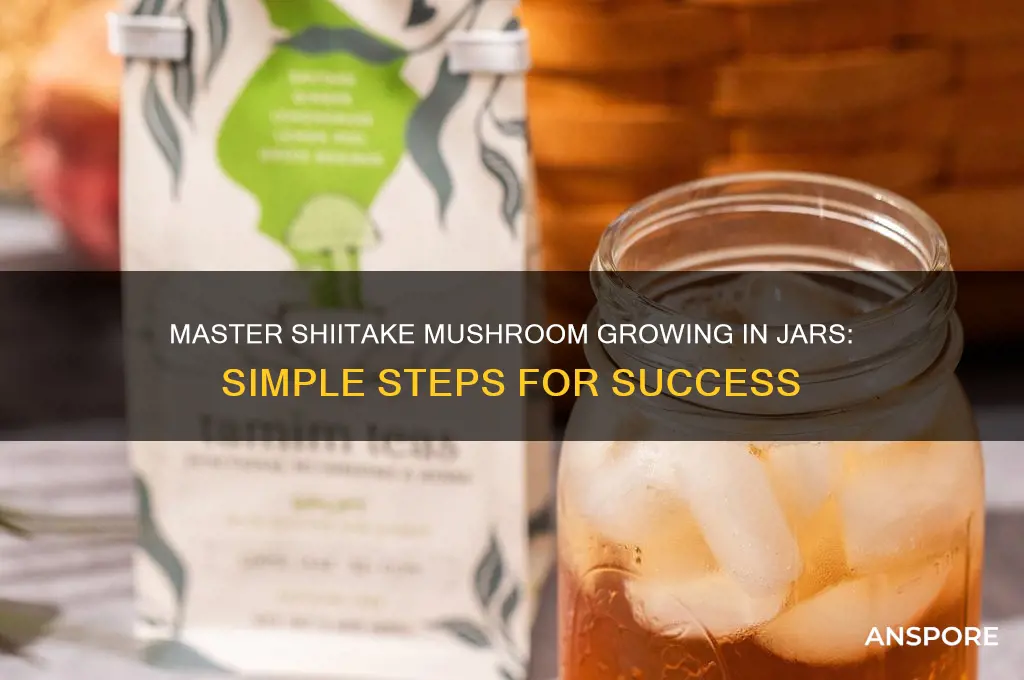 how to grow shiitake mushrooms in jars