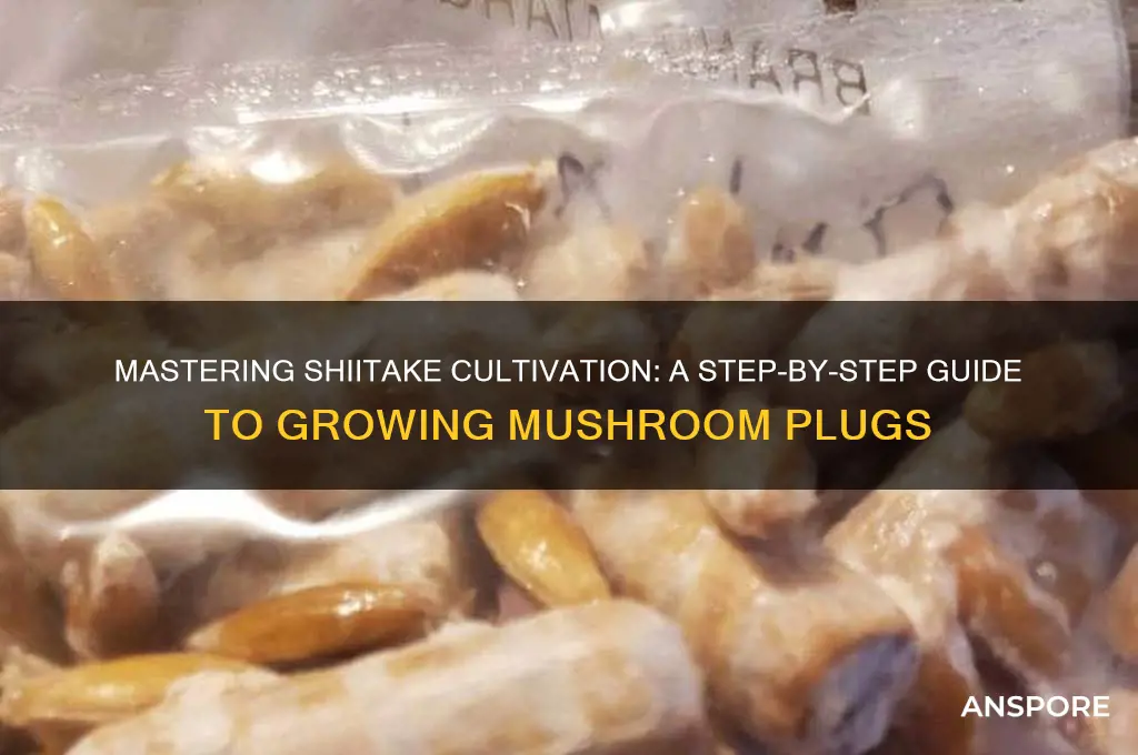how to grow shitake mushroom plugs