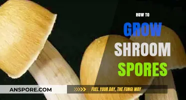 Mastering Mushroom Cultivation: A Guide to Growing Shroom Spores