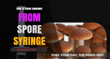 Mastering Mushroom Cultivation: A Guide to Growing Shrooms from Spore Syringe