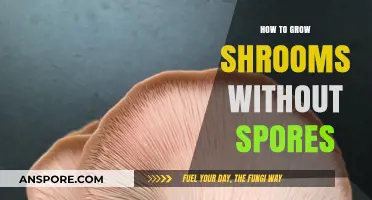 Growing Mushrooms Without Spores: Alternative Methods for Cultivation