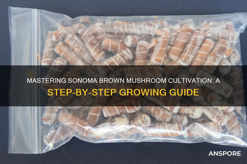 how to grow sonoma brown mushrooms
