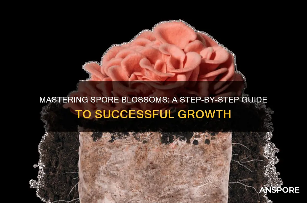 how to grow spore blossoms