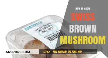 Mastering Swiss Brown Mushroom Cultivation: A Step-by-Step Growing Guide