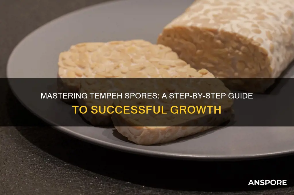 how to grow tempeh spores