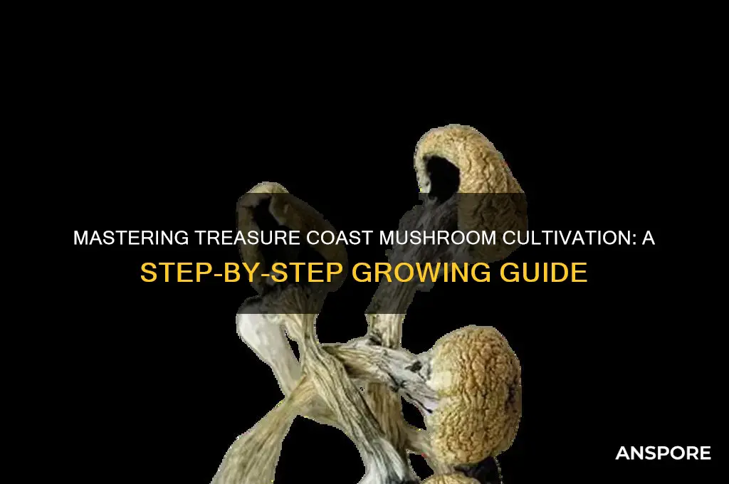 how to grow treasure coast mushrooms