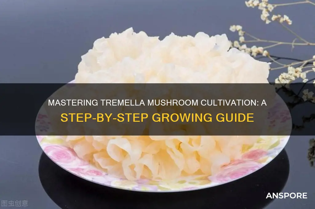 how to grow tremella mushroom