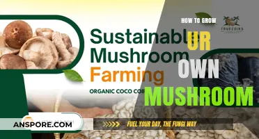 Master Mushroom Cultivation: A Beginner's Guide to Growing Your Own