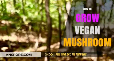 Cultivating Vegan Mushrooms: A Step-by-Step Guide to Sustainable Growth