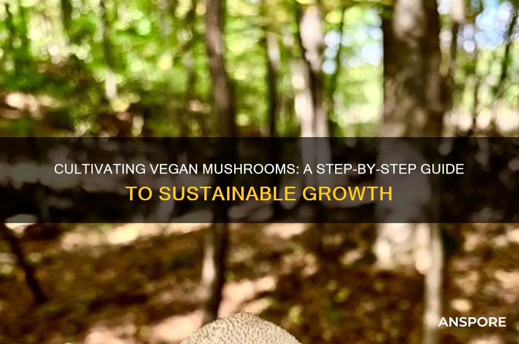 how to grow vegan mushroom