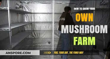 Mastering Mushroom Farming: A Step-by-Step Guide to Growing Your Own