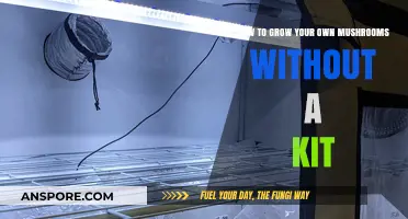 DIY Mushroom Growing: Simple Steps for Fresh Homegrown Fungi