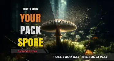 Mastering Spore Cultivation: Proven Techniques to Expand Your Pack Successfully