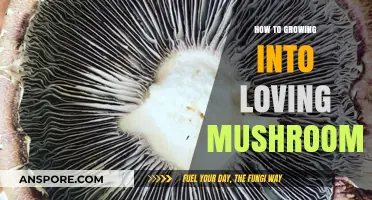 Cultivating a Passion: How to Grow into Loving Mushrooms